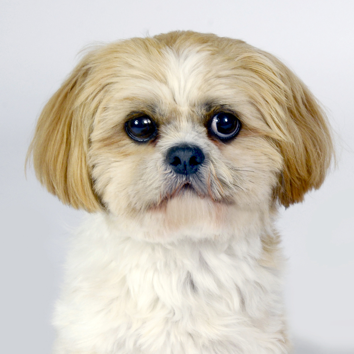 Tobi